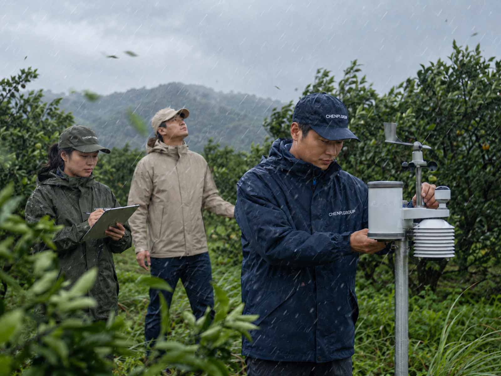 降雨条件下CHENPI.GROUP团队同步观察果园水源、土壤、排水与根区环境